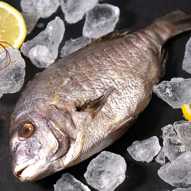 국내산 반건조 손질 참돔, 3개, 300g