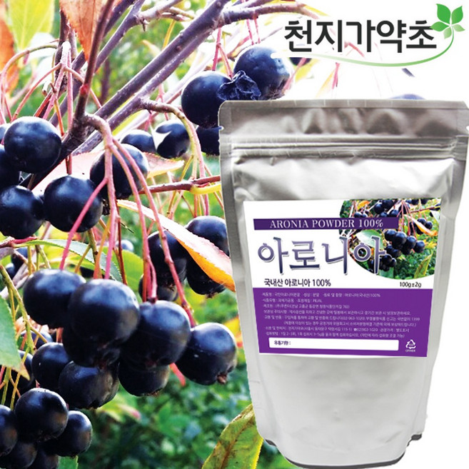 100%국산 순수 아로니아 분말 첨가물제로, 1개, 500g