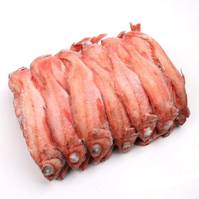 자갈치닷컴 적어 24~26cm내외 28마리 전후 빨간고기 장문볼락 열기 포르투갈, 1개, 8.3kg (28마리 전후)