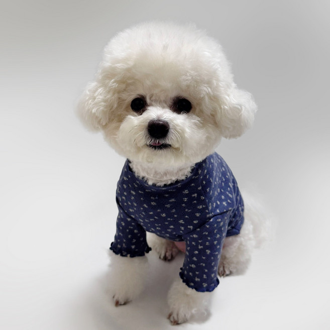 스타일독 에밀리 아일렛 프릴 라운드 티셔츠 강아지옷, 1개, 네이비