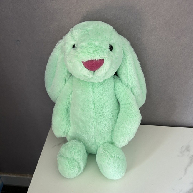 可愛垂耳小兔子毛絨玩具公仔寶寶安撫玩偶小白兔抱枕靠墊交換禮物生日禮物送禮, 綠色,40厘米不含耳朵（0.3千克）