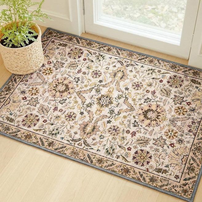 MINIDEAR 2x3 Area Rugs for Entryway Kitchen Washable Rug Small Accent Bedroom Non Slip Vintage Th