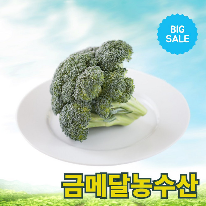 금메달농수산 산지직송 특품 국내산 브로콜리, 1개, 2kg