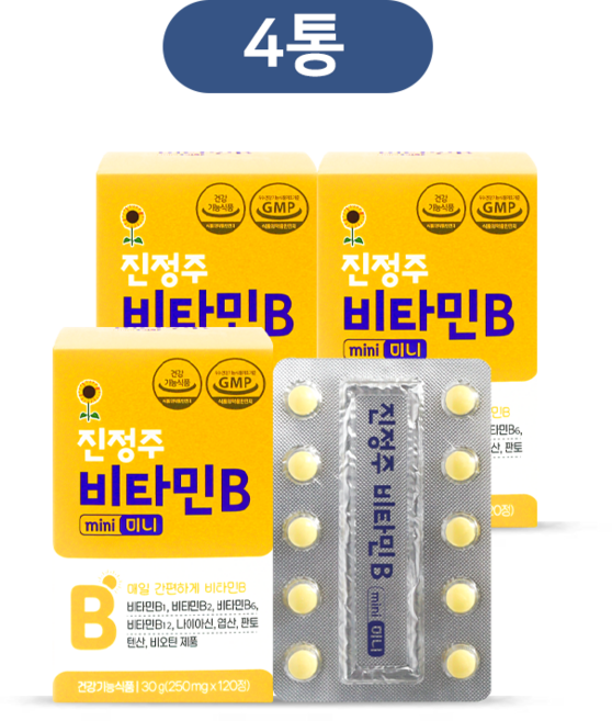 진정주 비타민B 미니(120정), 4개, 120정
