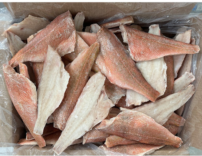 힘찬푸드 순살 장문볼락 가시제거 열기 적어 이유식, 1박스, 10kg