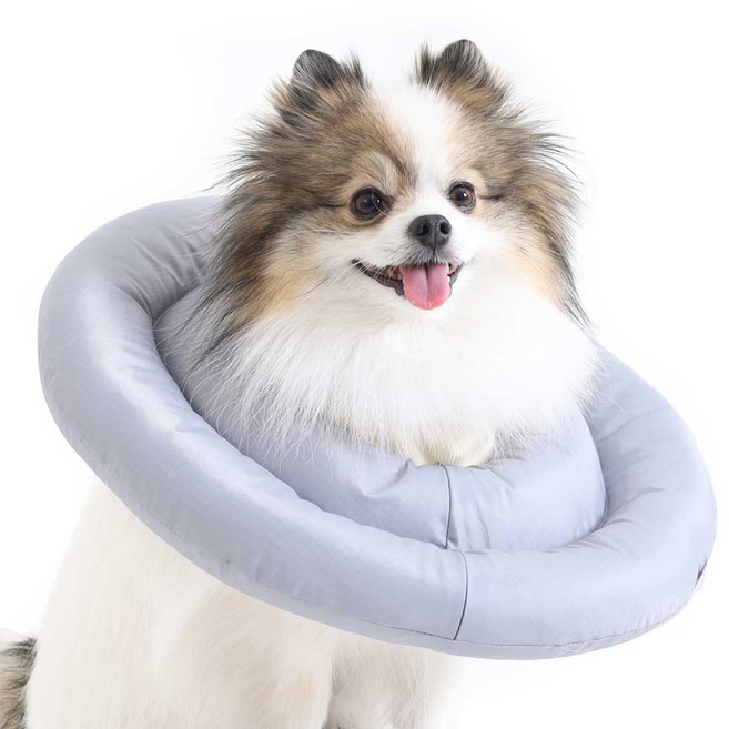 두유레디 강아지 넥카라 고양이 겸용 방수, 1개, 그레이