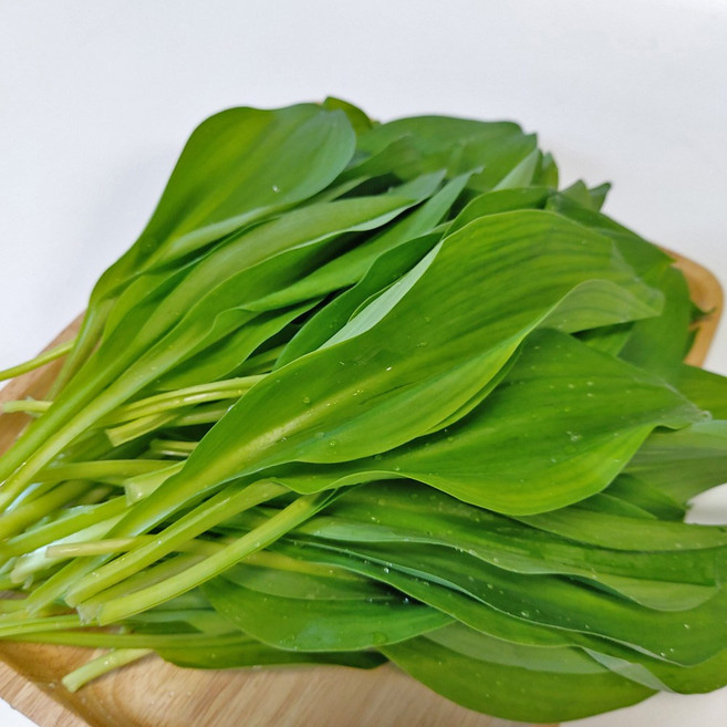 강원도 고랭지 명이나물 잎명이 산마늘, 1kg, 1박스