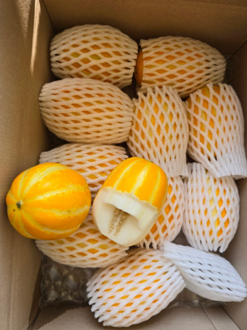 국산 성주 참외 고당도 고품질참외 최상품 성주참외 제철과일 당일수확 농장직송 당도선별 아삭달콤 꿀참외, 1박스, 정품 참외 3kg