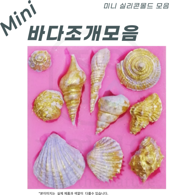 에코문 조개모음 10구-소라 실리콘몰드 수제 비누 초코렛 석고 미니 데코 몰드, 1개