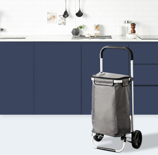 한샘 가벼운 장바구니 카트 고급형(보냉용), 한샘 가벼운 장바구니 카트(보냉형), 1개