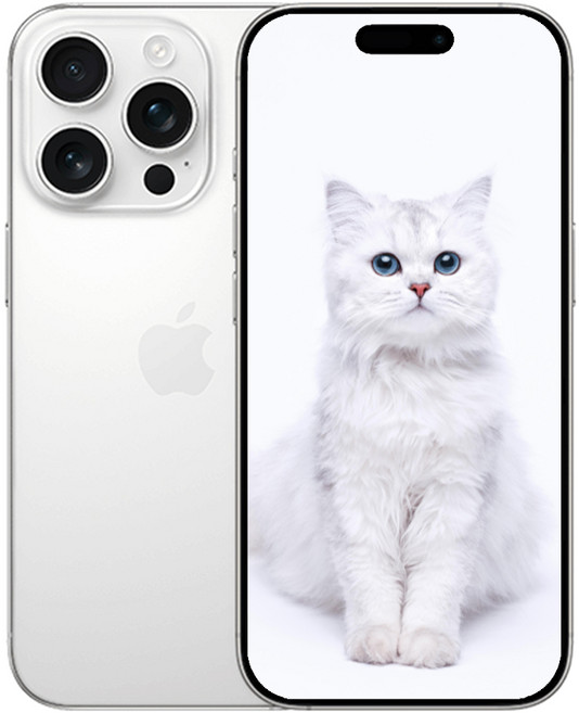 AIP 16 프로 새상품 미개봉, 256GB, 화이트 아이폰 16 Pro