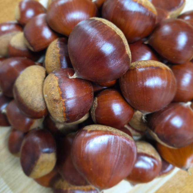 국내산 부여 공주 밤 햇밤 왕밤 알밤 왕특 특대, 1개, 2kg