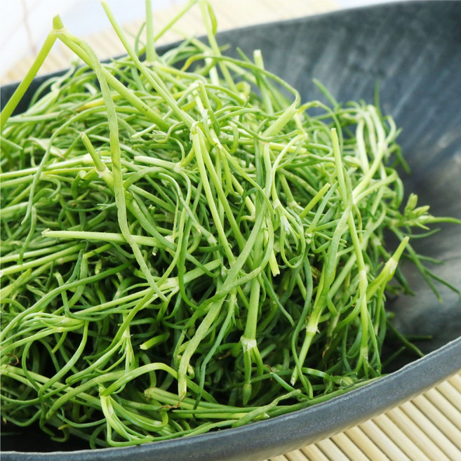 국내산 제철 봄나물 (생)세발나물, 200g, 1개