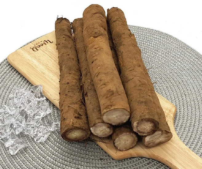 [초록한입] 국내산 유기농 우엉 (건강즙 증정), 1개, 500g - 쿠팡