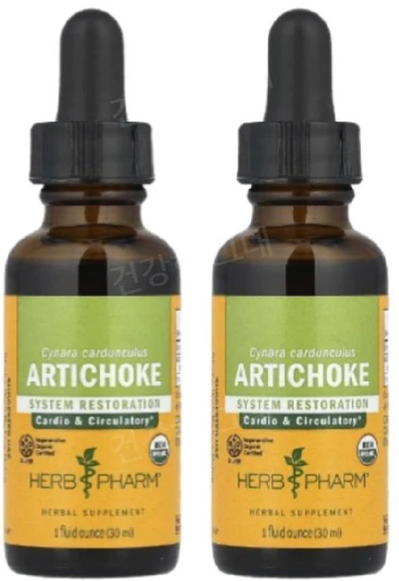 허브팜 아티쵸크 아티초크 액체 액상 30ml 2개 고니잎 Artichoke - 쿠팡