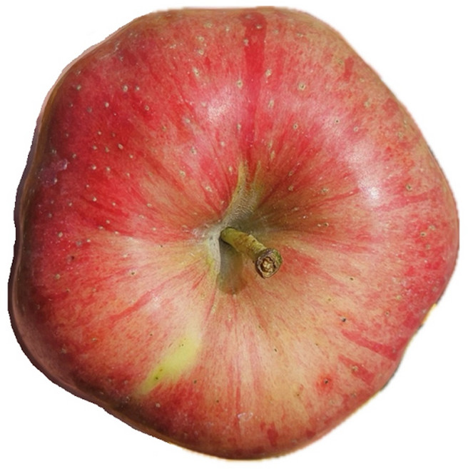 장수사과 사과 홍로 홍로사과 가을사과 흠집사과 흠사과 기스사과 못난이사과 가정용사과 선물용사과 실속형사과, 10KG 1박스, 흠집 홍로사과 중, 1개