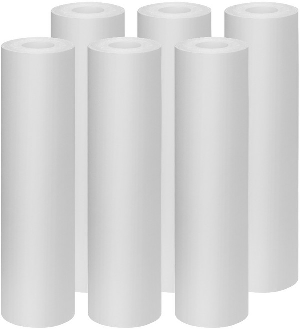 하우징필터 세디멘트 침전 필터 10인치 250mm, 6개