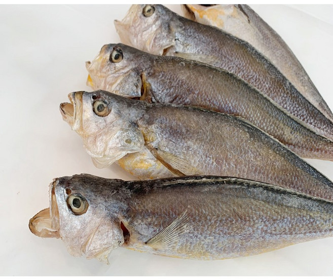 속초 덕장운영 반건조 금 부세 조기 말린 마른 제수용 제사 생선 보리 굴비 명절 설, 10