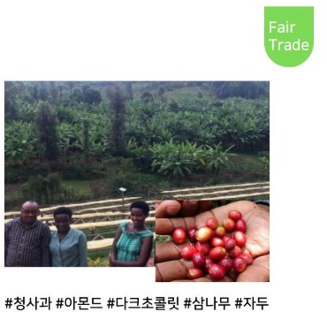 타넬-(공정무역) 250g 르완다커피 뷔샤자조합 워시드 갓볶은 중간시티볶음 당일로스팅 타넬, 더치커피용, 더치, 1개