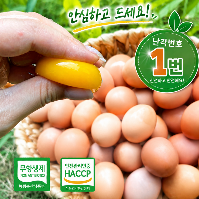 [난각번호1번] 자연방사 유정란 무항생제 동물복지 산지직송 당일배송 계란 대란 특란 20구 30구 40구 당일산란 대가농장 유정란, 60구, 1개