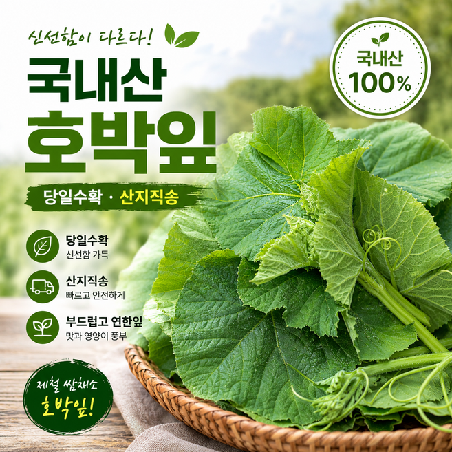 산내음마켓 싱싱한 호박잎 국내산 당일수확 연한 호박잎 쌈채소, 1개, 1kg