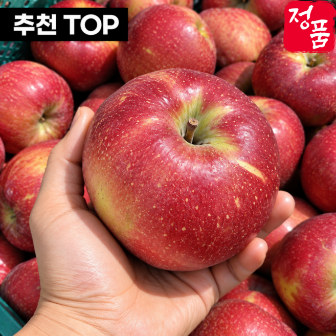 [작년완판] SNS인기폭발 문경 감홍사과 특품, 1박스, 5kg(로얄과)