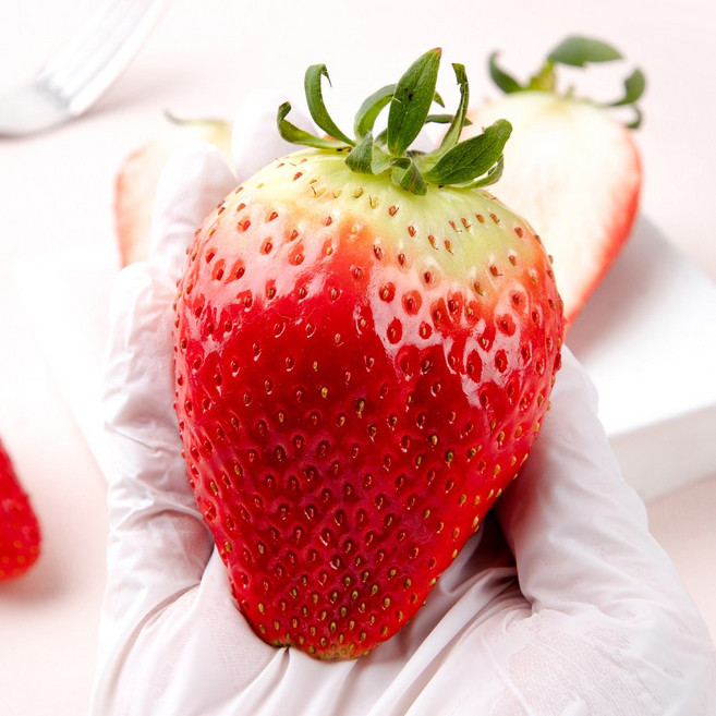 신선하랑 당일수확 대왕딸기 논산 킹스베리 딸기 특대딸기, 1박스, 400g 특 (10-13과)