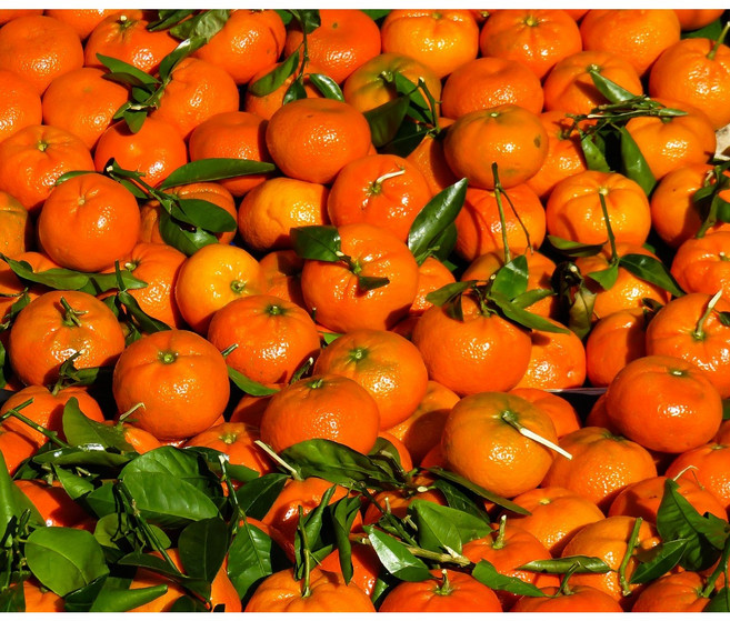 산미있는 과일향 / 사업자 원두납품 / 대용량 블렌드 원두 도매, 20kg, 1개, 홀빈(분쇄안함)