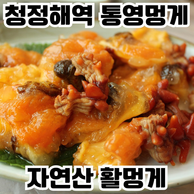 [한정특가] 국산 통영 멍게 활멍게, 1개, 2kg