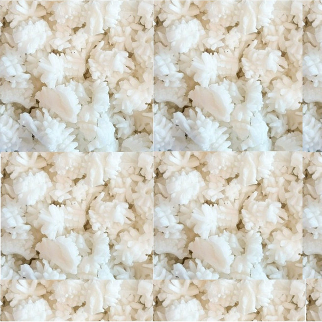 손질 오징어 간편 부위별 급냉, 1세트, 급냉 오징어 귀채 500g 1팩