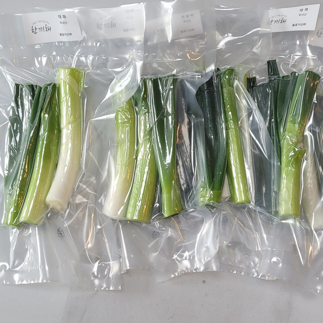 [한끼채]대파 손질 진공 1인 한끼채소 1팩100g(총5팩 500g) 국내산, 100g, 5개
