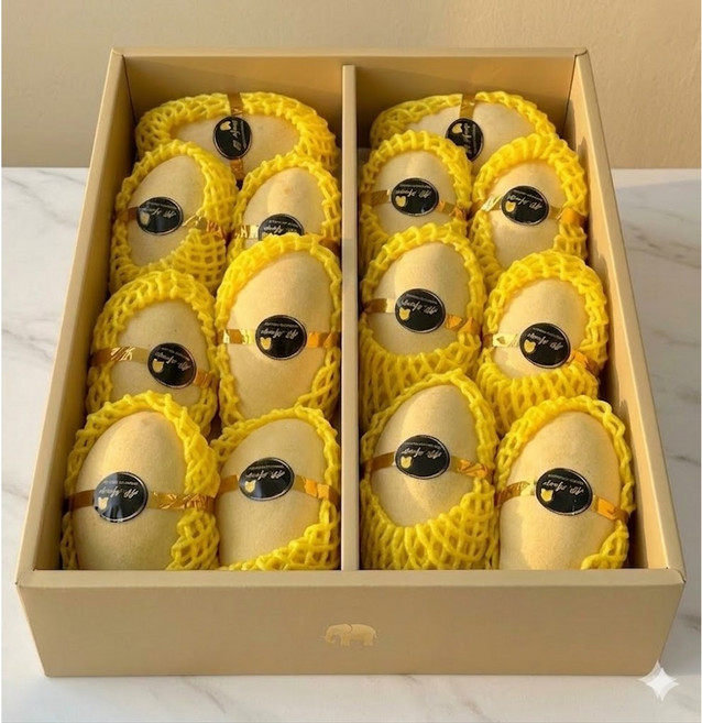 [최상품] 초고당도 항공직수입 프리미엄 골드망고, 1박스, 2.5kg