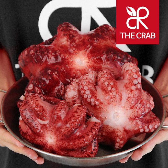 자숙문어 냉동문어 데친 숙회, 1개, 중 (500-600g/수입)