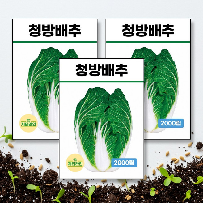 청방배추 씨앗 종자 2000립, 3개