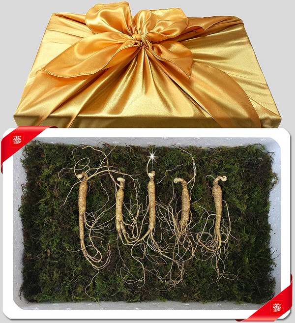 삼바이 산양산삼 5-6년근 선물세트 산삼 산양삼 장뇌삼 인삼 면역력 기력보강 설날 추석 설선물 설명절 추석선물 추석명절 명절선물, 1박스