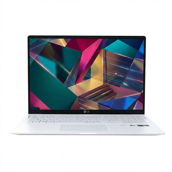 LG전자 그램 FHD 15.6인치 15Z90N i5 10세대/16GB/NVMe SSD 256GB/윈11