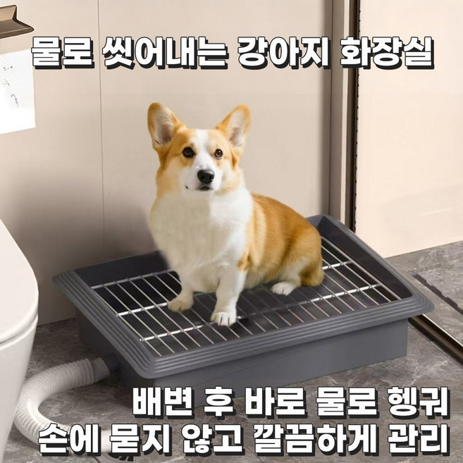 코코 강아지 배변판 반려견 화장실 배수형 물세척 가능 실내 배변훈련 소형견 중형견 배변판, 1개, 그레이