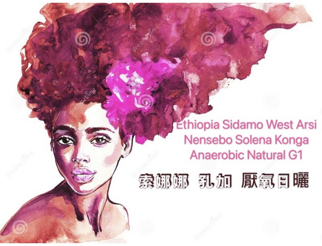 依索比亞 西達摩 西阿爾希區 南西寶村 索娜娜孔加 厭氧日曬 G1 咖啡生豆, 1個