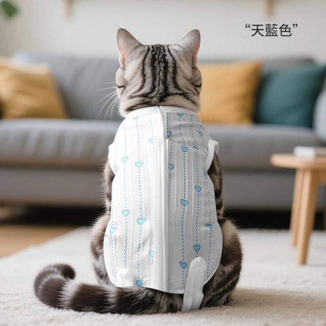 ibooooo 寵物貓咪絕育服, 天藍色, 1個