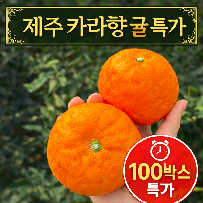 [산지직송] 제주 카라향 프리미엄 고당도 제철 감귤, 1박스, 중과3kg