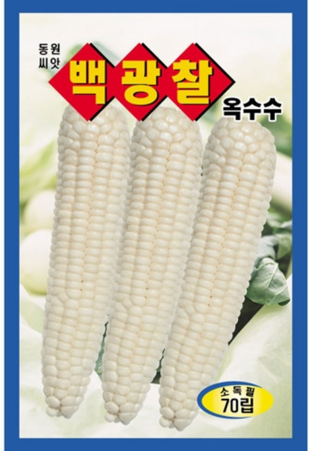 옥수수씨앗 백광찰 70립 찰옥수수씨, 백광찰옥수수, 1개