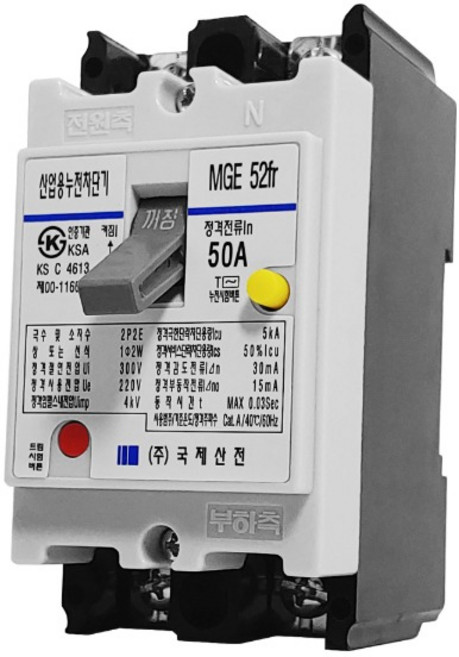 누전차단기(국제산전/2P 50A/산업용), 1개
