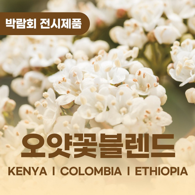 고종의뜰 오얏꽃 블렌드 원두 커피 200g [향미 산미], 콜드브루, 1개