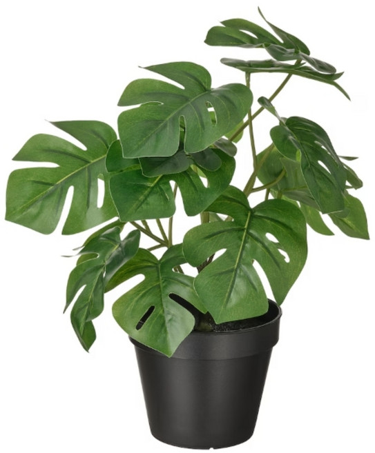 이케아 조화 인조식물 꽃나무 중소형 20~60 페이카, 몬스테라(32cm), 1개