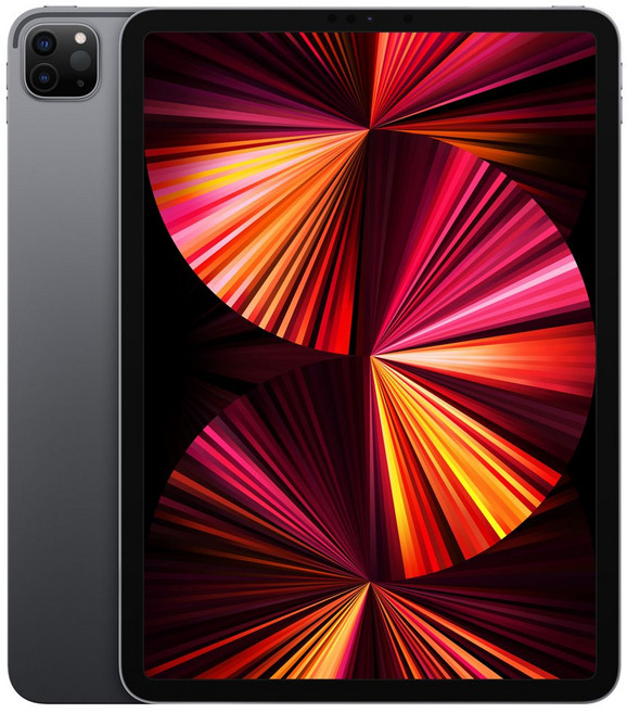 Apple 아이패드 프로 11 3세대 M1칩, 스페이스 그레이, 128GB, Wi-Fi
