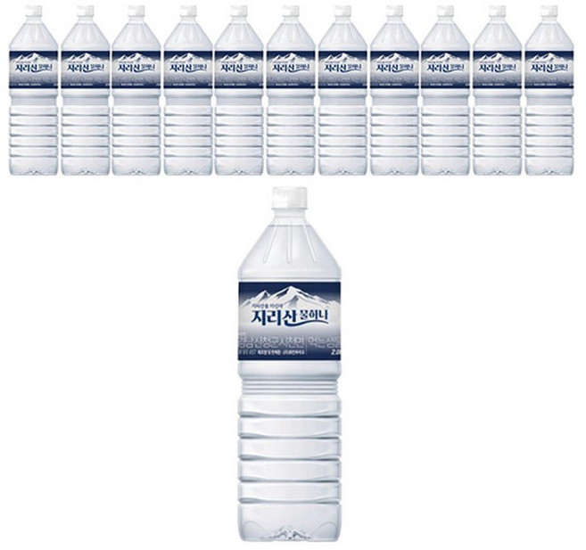 테온셀 지리산물하나 지리산 물하나 무/유라벨 랜덤, 지리산 물하나 유/무라벨 랜덤, 2L, 12개, 12개, 2L