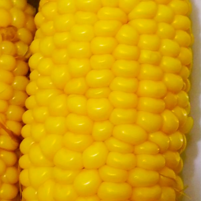 [굿피플] 손질깐초당옥수수 옥수수 햇옥수수 생초당옥수수, 1박스, 손질깐초당옥수수 12cm 10입