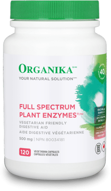 (오가니카)올가니카 천연소화 식물효소 500mg 120vcaps (ORGANIKA FULL SPECTRUM PLANT ENZYMES), 120정, 1개