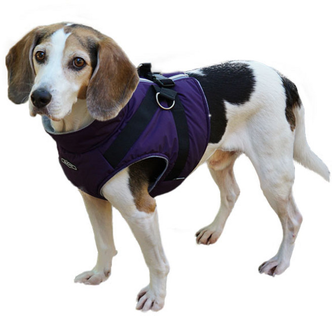 RealPet 대형견 숏패딩 하네스, Purple, 1개