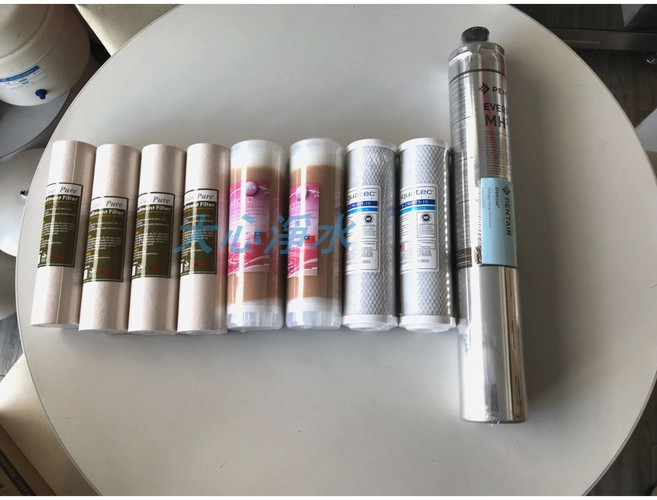 大心淨水 平行輸入 EVERPURE MH2 愛惠浦濾心 四道式一年份濾心 9入, 1個